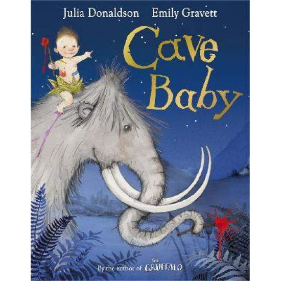 CAVE BABY PB - JULIA DONALDSON-EMILY GRAVETT