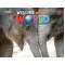 WELCOME TO OUR WORLD 3 WB - BRE 2ND ED