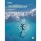TRAILBLAZER 2 SB ( + SPARK)