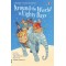 USBORNE YOUNG READING 2: AROUND THE WORLD IN EIGHTY DAYS HC