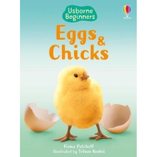 USBORNE : EGGS AND CHICKS HC - FIONA PATCHETT-ZOE WRAY