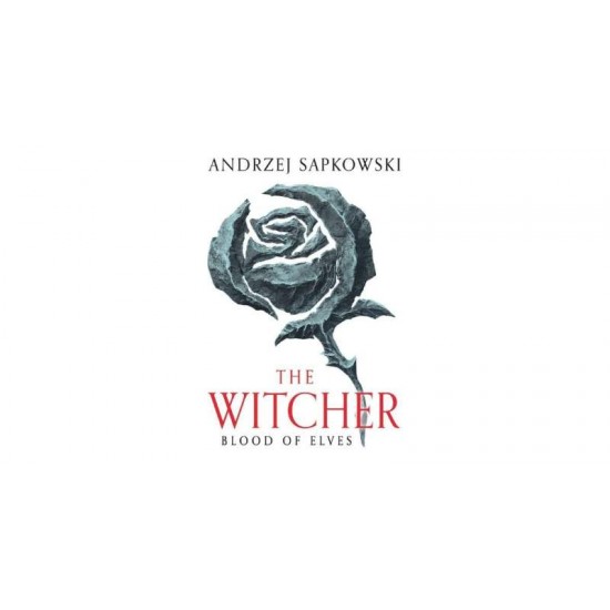 THE WITCHER 1 : BLOOD OF ELVES N/E - ANDRZEJ SAPKOWSKI-DANUSIA STOK