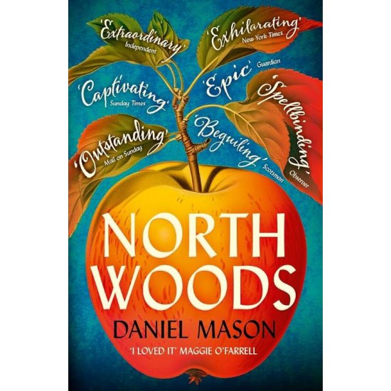 NORTH WOODS - DANIEL MASON