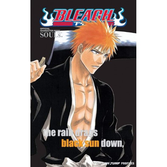 BLEACH SOULS PA - TITE  KUBO