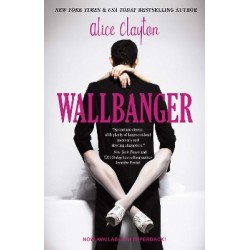 WALLBANGER