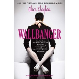 WALLBANGER