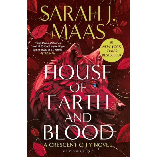 CRESCENT CITY 1: HOUSE OF EARTH AND BLOOD - SARAH J. MAAS