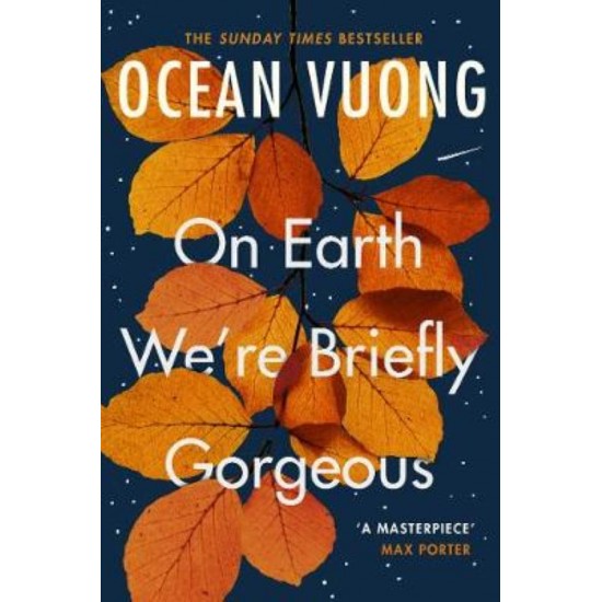 ON EARTH WE'RE BRIEFLY GORGEOUS - OCEAN VUONG - 2020