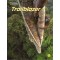 TRAILBLAZER 1 BUNDLE (SB + SPARK + WB)
