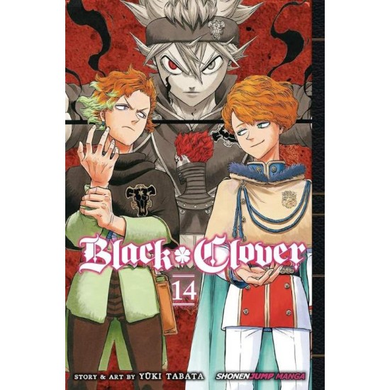 BLACK CLOVER, VOL. 14 PA - YUKI TABATA