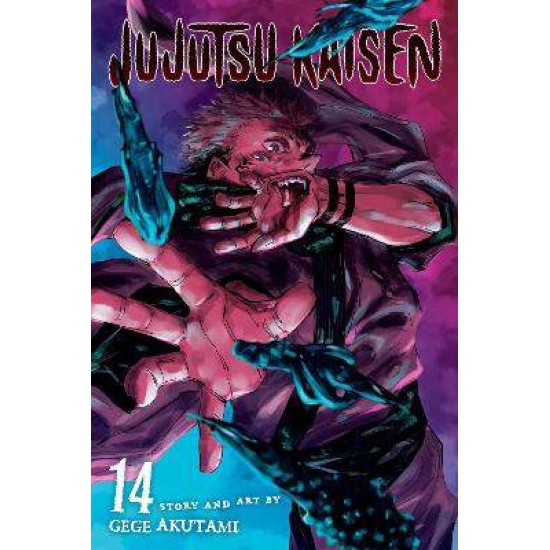 JUJUTSU KAISEN, VOL. 14 - Gege Akutami